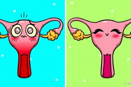 preview 19989460 1200x630 99 1519455305