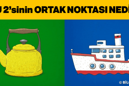 ortak noktasi