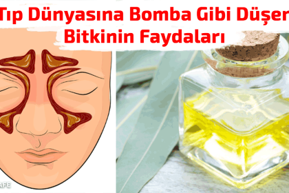 Tıp dünyasına bomba gibi düşen bitkinin faydaları