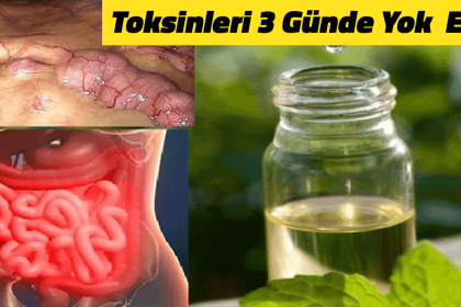 vucudunuzdaki butun toksinleri 3 gunde yok edin kanseri fazla yaglari ve odemi onleyin