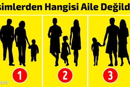 aile degildir