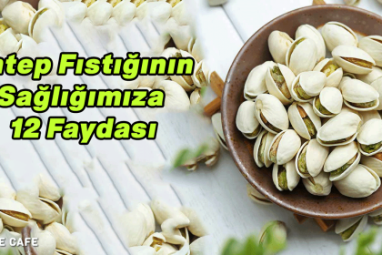 antep fistigi