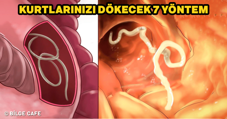 Kurtlarınızı Dökecek 7 Yöntem 1 bagirsak kurtlari