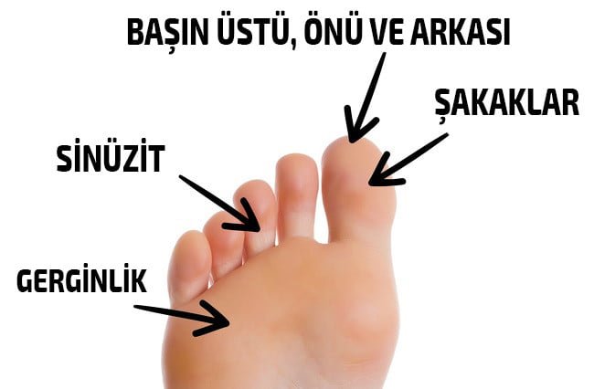 Bu Noktaya Bastırın Sağlık Sorunlarınıza Veda Edin! 11 baş ağrılarına güle güle