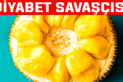 diyabet savaşçısı