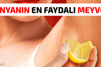 en faydali meyve