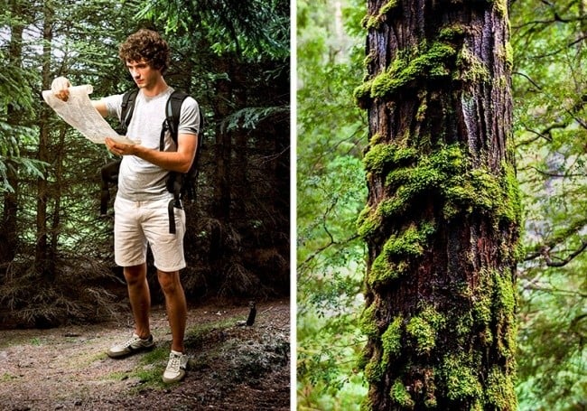 ormanda yolunuzu bulmak