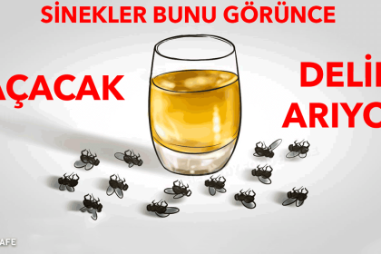 Sineklerden Kurtulmanın Doğal Yolları 6 sineklerden kurtulmanin yollari