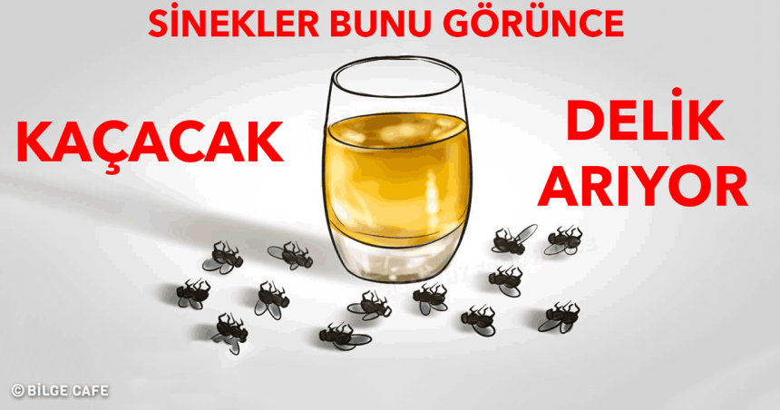 sineklerden kurtulmanin yollari