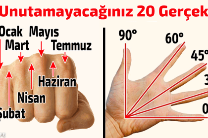 Unutamayacağınız 20 Gerçek 10 unutamayacağınız 20 gerçek