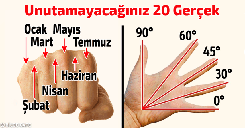 unutamayacağınız 20 gerçek