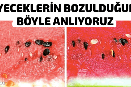 Yiyeceklerin Bozulduğunu Böyle Anlıyoruz! 24 yiyeceklerin bozuldugunu boyle anliyoruz