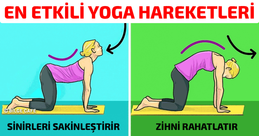 zihninizi rahatlatan en etkili yoga hareketleri