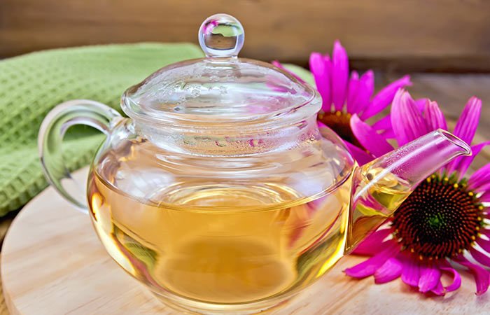 Uçuk Nasıl Geçer, Uçuğa Ne İyi Gelir 15 Doğal Tedavi Yöntemi 8 uçuk nasıl geçer ekinezya