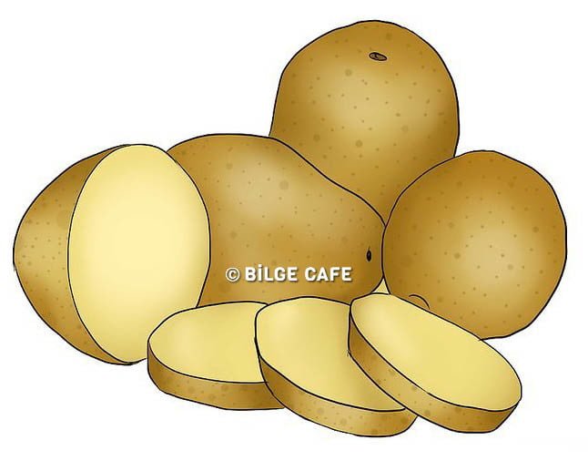 Patatesin Çok Az Kişinin Bildiği 13 Kullanım Alanı 2 patates 2