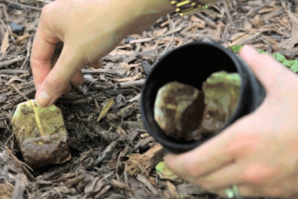 sallama cayi bahceye gomdu ogrenince sizde aynisini yapacaksiniz