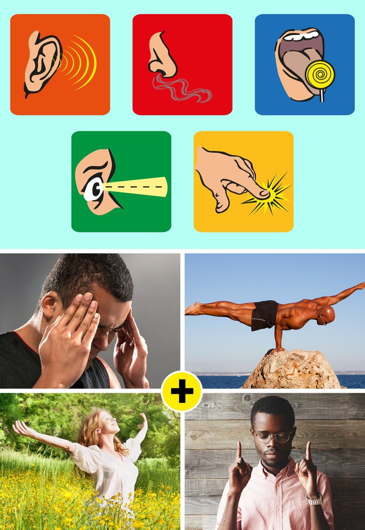 Bugüne Dek Yanlış Bildiğimiz 9 Bilimsel Bilgi 8 duyu