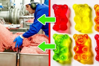 Gıda Devleri Bu 12 Sırrı Bilmenizi İstemiyor 8 gidacilar