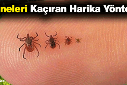 keneleri kaciran harika yontem