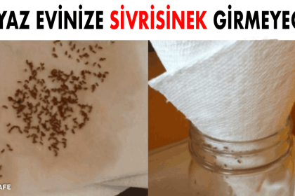 sivrisinek