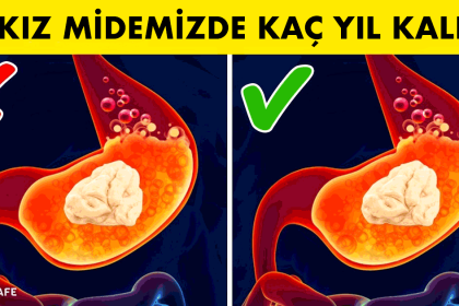 Bugüne Dek Yanlış Bildiğimiz 9 Bilimsel Bilgi 12 yanlis bildigimiz bilimsel bilgiler