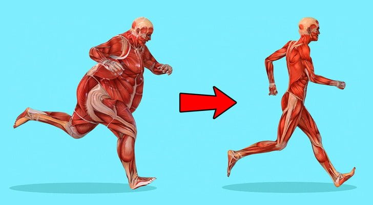 şişman kas kütlesi zayıf kas kütlesi