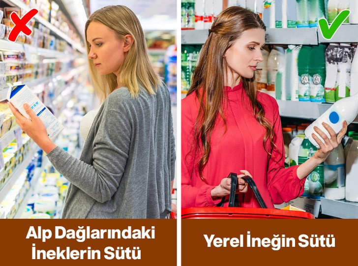 alp sutü yerel sut