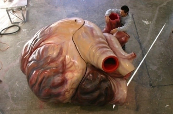 Bu Bilgileri Öğrendiğinizde Dünyaya Çok Farklı Bir Gözle Bakacaksınız 3 balina kalbi ve insan