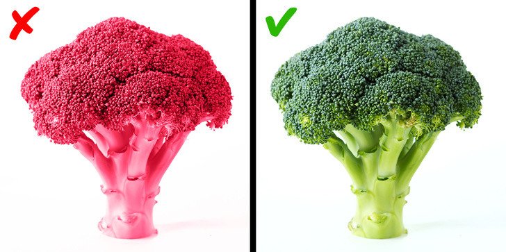 Bu Bilgileri Öğrendiğinizde Dünyaya Çok Farklı Bir Gözle Bakacaksınız 8 brokolili sakız