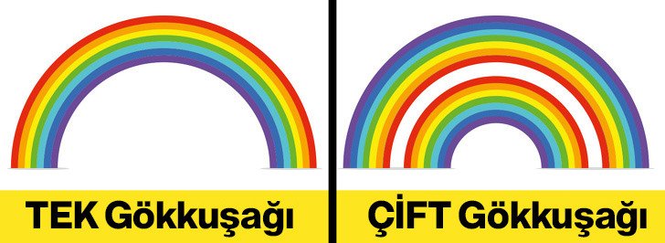 Bu Bilgileri Öğrendiğinizde Dünyaya Çok Farklı Bir Gözle Bakacaksınız 5 gokkusagi