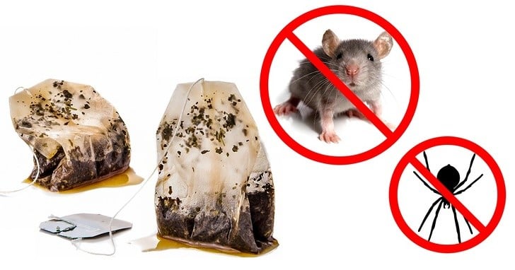 haşarattan kurtulmak için nane çayı