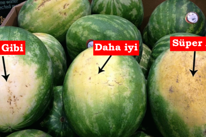 iyi karpuz