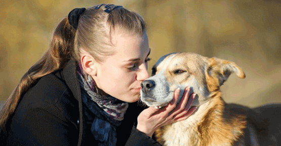 Bilimsel Araştırma: İnsanlar Köpekleri İnsanlardan Daha Çok Seviyor 5 kadın ve köpek