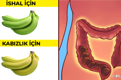 Sindirim Sisteminizi Düzene Oturtacak 4 Yöntem 4 metabolizmayi hizlandiracak