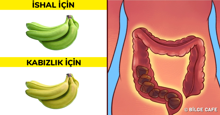 Sindirim Sisteminizi Düzene Oturtacak 4 Yöntem 34 metabolizmayi hizlandiracak