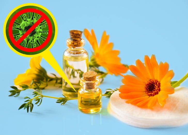 nergis çiçeği ve yağı