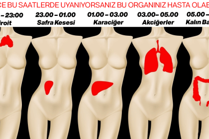 Neden Her Gece Aynı Saatte Uyandığınızı Öğrenmek İçin Buraya 24 uyuma organlar