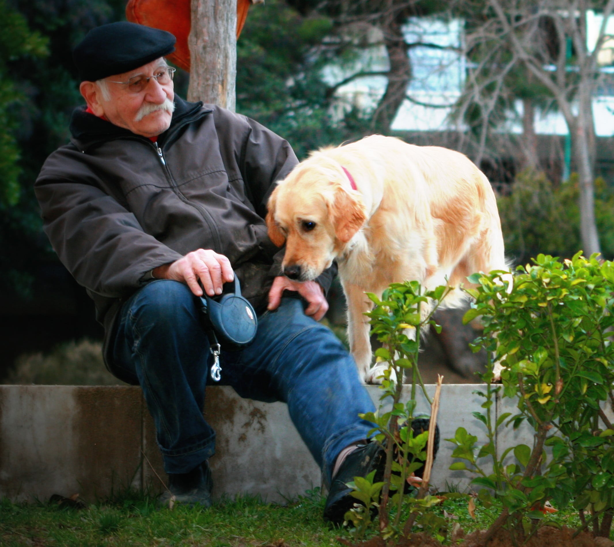Bilimsel Araştırma: İnsanlar Köpekleri İnsanlardan Daha Çok Seviyor 2 yaşlı adam ve köpek