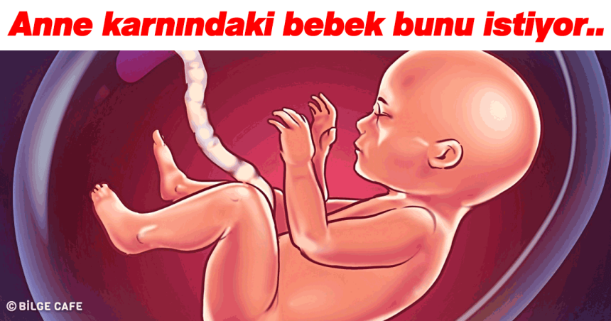 Anne Karnındaki Bebekler En Çok Bunları Seviyor 1 anne karnındaki bebek