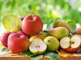 elma ve armut