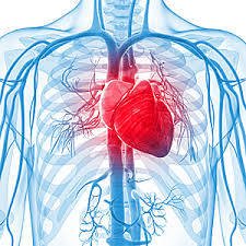Kas Bozulmasının 8 Erken Belirtisini Görmezden Gelmeyin 7 kalp problemi