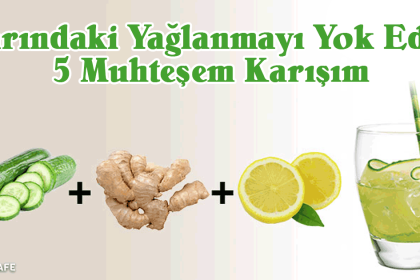 karındaki yağlanmayı yok eden karışım