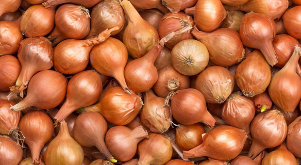 Yatağınızın Yanında Her Zaman Bir Kase Soğan Bulundurun! Sebebi mi? Öğrenmeye hazır olun! 5 soğan3