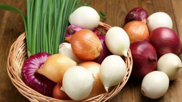 Yatağınızın Yanında Her Zaman Bir Kase Soğan Bulundurun! Sebebi mi? Öğrenmeye hazır olun! 2 soğanlar2
