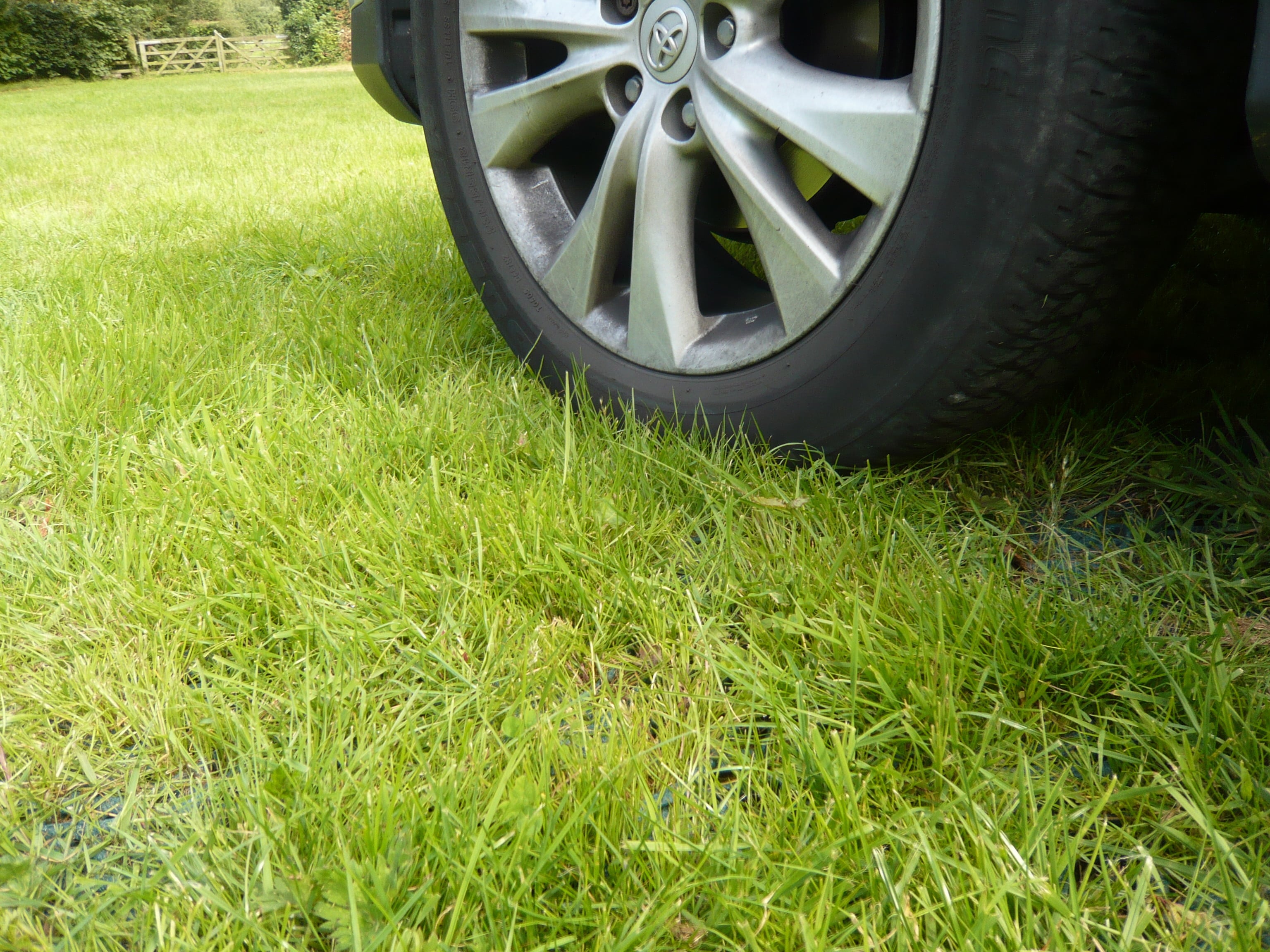 Hayatınızı Kurtarabilecek 11 Öneri 5 araç lastiği ve çimen