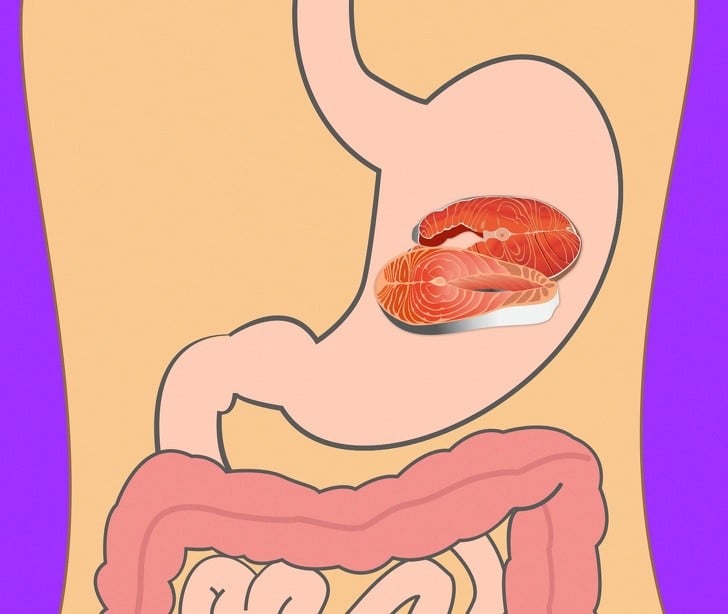 Yedikleriniz Midenizde Ne Kadar Sürede Sindiriliyor 8 balık