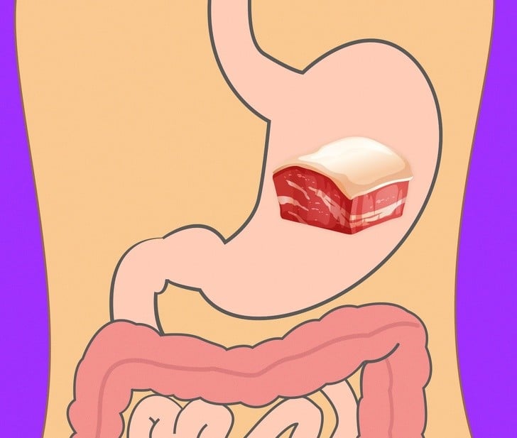 Yedikleriniz Midenizde Ne Kadar Sürede Sindiriliyor 17 domuz eti