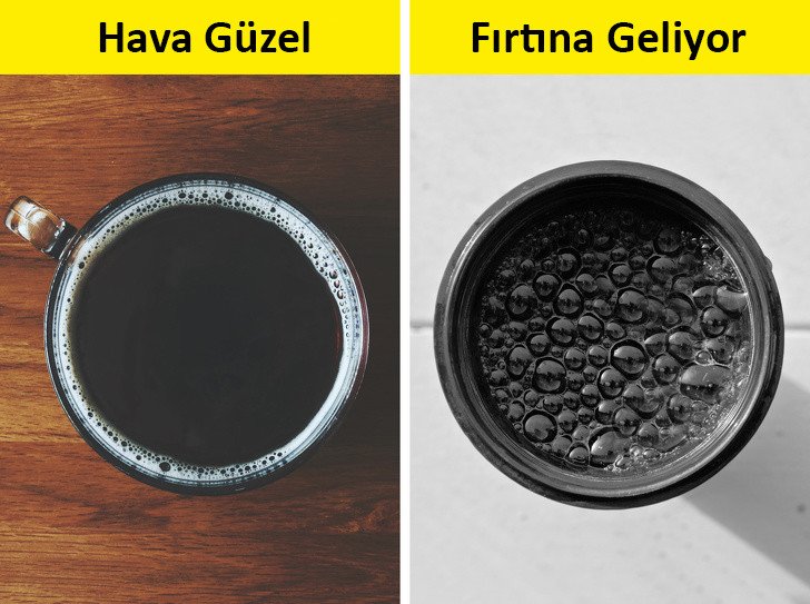 Hayatınızı Kurtarabilecek 11 Öneri 4 icecek