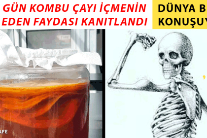 kombu çayı faydaları