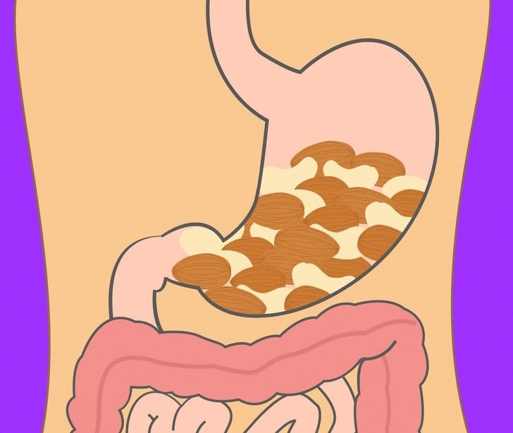 Yedikleriniz Midenizde Ne Kadar Sürede Sindiriliyor 13 kuruyemiş